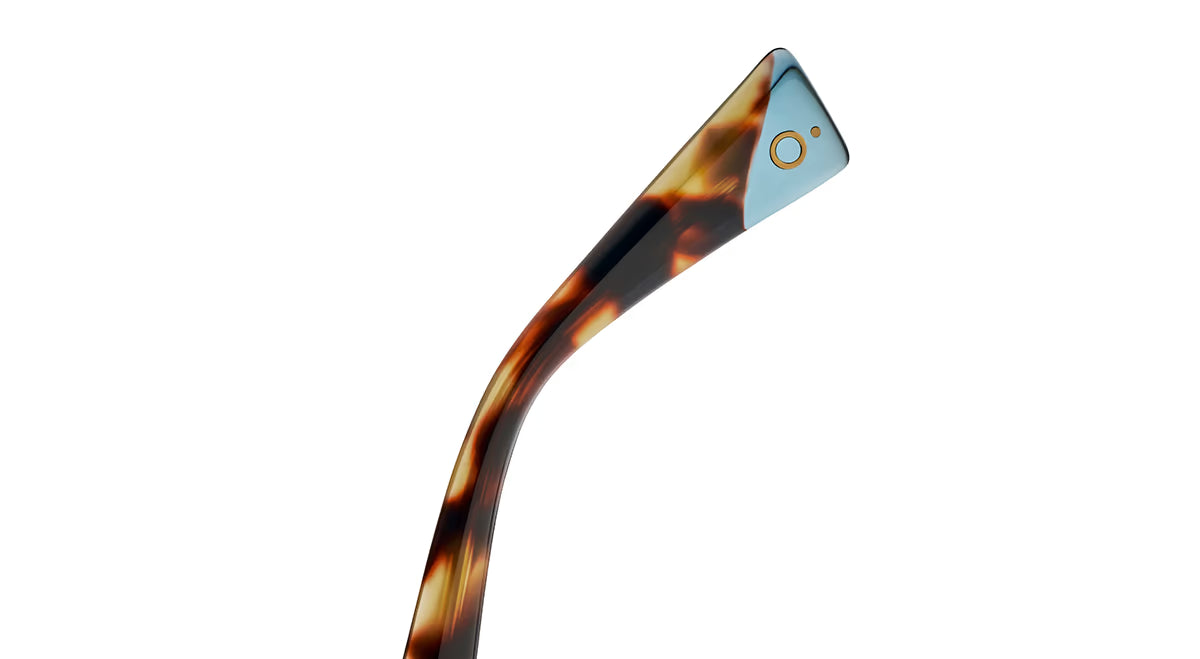 GROOVY 55S HAVANA